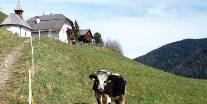 Berggasthof Trattes Hotel Olang Exterior photo